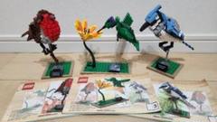 LEGO レゴ 21301 アイデア 世界の鳥 - メルカリ