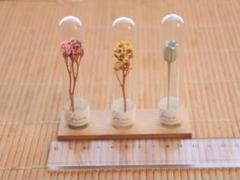 ドライフラワー ガラスドーム 3色セット