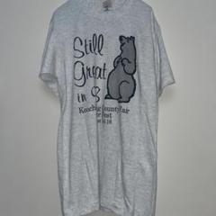 フルーツオブザルーム　Tシャツ グレー　シングルステッチ　90s usa製