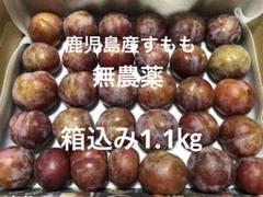 すもも 鹿児島産 無農薬 すもも 1キロ 鹿児島産 無農薬 プラム 最終SALE！ - メルカリ