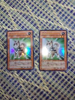 柴戦士タロ 2枚セット　ウルトラレア