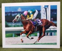 平成10年7月12日第39回宝塚記念優勝馬サイレンススズカのパネル