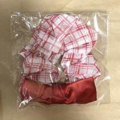 AKB48 大丸 村山彩希 ガチャ シュシュ 卒業ドレス 生地 赤リボン ひ*様 AKB48 大丸 村山彩希 ガチャ シュシュ 卒業ドレス 生地