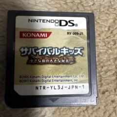 サバイバルキッズ 小さな島の大きな秘密！？ ds
