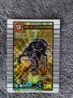 ムシキング　カード 約60枚　タランドゥスツヤクワガタ　等　レアカード含む ムシキング タランドゥスツヤクワガタ 金レア 技ヒャクレツケン