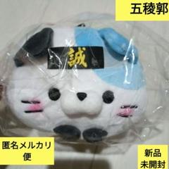新選組　しんせんぐみにゃん　函館　五稜郭限定　北海道　新撰組　もちふわにゃんこ