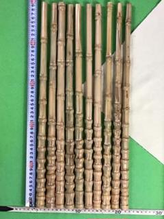 天然　布袋竹　工作材B 和竿・釣具小物・その他工芸品製作用ミディアム・ショート竹材