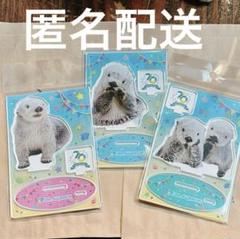 鳥羽水族館　70周年　ラッコ　アクリルスタンド　メイ　キラ　アクスタ　3種 Amazon.co.jp: 鳥羽水族館 ラッコ パネルスタンド キラ メイ