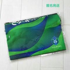 ベルマーレ平塚 Ｊリーグ開幕初期モデル トレーニングウェア ジャージ上下セット ベルマーレ平塚 Jリーグ開幕初期モデル トレーニングウェア