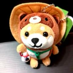 2025年最新】信楽焼たぬき ぬいぐるみの人気アイテム - メルカリ