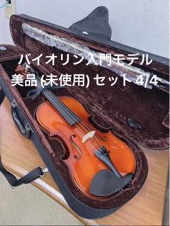 希少虎杢　高級バイオリン　カルロ・ジョルダーノ　1/16 弦楽器　音楽 希少虎杢 高級バイオリン カルロ・ジョルダーノ 1/16 弦楽器