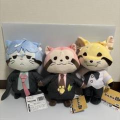 あらいぐま カルカル団 BIGぬいぐるみ① 全3種セット