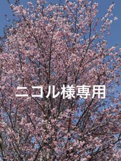 水晶龍神彫回文珠本翡翠アラシャンライモナイト&花雫ルチル