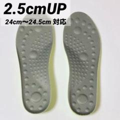 インソール シークレット 中敷 2.5cmUP身長アップ 24~24.5cm