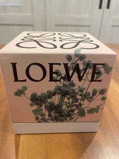 Loewe ロエベ キャンドル ラシャスピー 新品未使用 170g