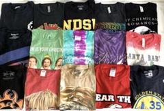 【古着アメリカTシャツ】⭐︎Lサイズ 15枚まとめ売り