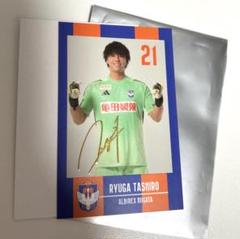 トップチーム（田代 琉我） - アルビレックス新潟 公式サイト