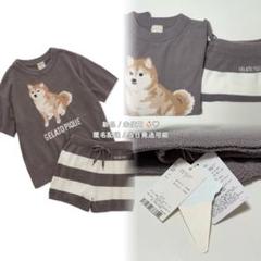 新品 ジェラートピケ 柴犬 ジャガードプルオーバー＆ショート