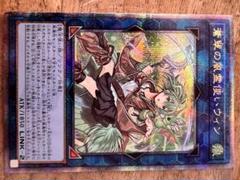 遊戯王　蒼翠の風霊使いウィン　25thクオシクのサムネイル