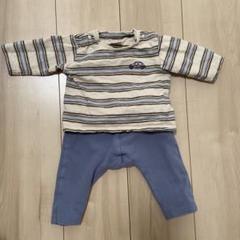 petit mainセットアップ