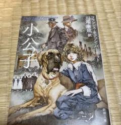 小公子のサムネイル