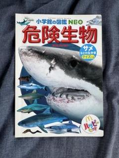 小学館図鑑NEO17冊【バラ売り不可】 小学館図鑑NEO17冊【バラ売り不可】 - メルカリ