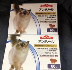 アンチノール60粒×2箱