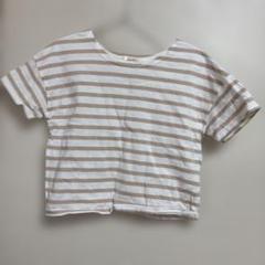 しまむら クロップドTシャツ 白/ベージュストライプ