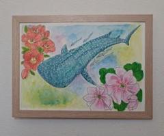 原画 ジンベイザメと夏の花 水彩画 B5サイズ