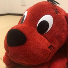 【送料込】Clifford(クリフォード)のティッシュケースです。