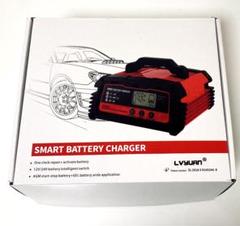 【美品】LVYUAN 自動パルスバッテリー充電器 DC-200Plus LVYUAN】自動バッテリー充電器 定格20A 12V/24V対応 パルス充電