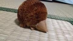 たわしのもぐら。