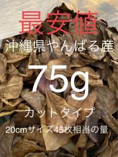 【貞にゃん⭐️さん予約】沖縄県やんばる産　マジックリーフ　1kg m99625480704_1.jpg?1725976896