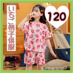ルームウェア 綿100％ 半袖パジャマ いちご柄 120サイズ 夏用 苺 キッズ