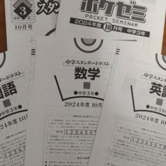 早稲田アカデミー　スタンダードテスト中学1年2024年度　国数英 早稲田アカデミー 中1 必修テスト 学力診断テスト スタンダード