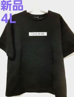 大きいサイズ4L セシルマクビー6点セットコーデ 大きいサイズ4Lメンズ セシルマクビー Tシャツ 刺繍 - メルカリ