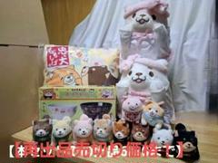 【再出品売切り価格】忠犬もちしば　プライズグッズ　スペシャルセット