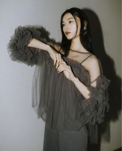 ANDRESD チュールトップス decorative tulle tops - メルカリ