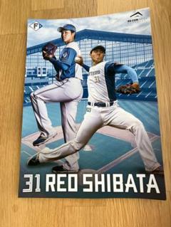 ファイターズ柴田獅子プロ初登板証明書