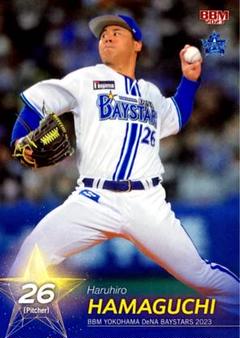 【激レア】 濱口遥大 選手 実使用 支給グラブ サイン入り グラブ 激レア】 濱口遥大 選手 実使用 支給グラブ サイン入り グラブ