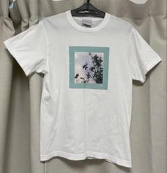 2025年最新】くるり tシャツ ばらの花の人気アイテム - メルカリ