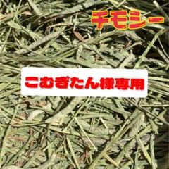 【最上級グレード】チモシー10kg☆スーパープレミアム☆1番刈り☆US産R6年産のサムネイル
