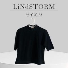 LiNdSTORM ブラック 五分袖 チビT チビハイ ショート丈
