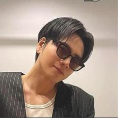 正規品✨️登坂広臣着用✨️ジェントルモンスター サングラス tam 