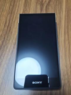 2025年最新】sony nw-zx707の人気アイテム - メルカリ