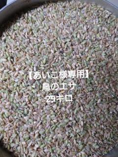 2025年最新】鳥のエサ米の人気アイテム - メルカリ