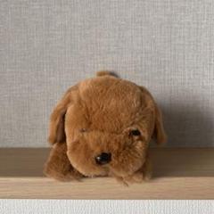ゴールデンレトリバー　もみじのこども　ぬいぐるみ
