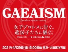 GAEAISM 4.29大田区体育館ペアチケット