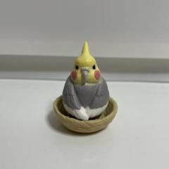 Amazon.co.jp: まちぼうけ鳥2 レア含む 全5種 ツバメの赤ちゃん