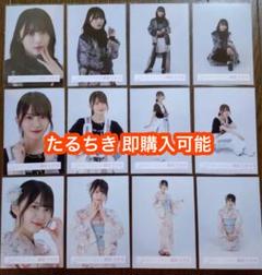 森田ひかる 櫻坂46 生写真 夏フェス モードコーデ 2種コンプ 櫻坂 櫻坂46 生写真 夏フェス衣装 2024年 森田ひかる コンプ